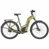 Bergamont E-Horizon Premium Pro Belt Amsterdam Unisex Pedelec E-Bike Trekking Fahrrad Goldfarben 2022
