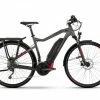 Haibike Sduro Trekking S 8.0 Pedelec E-Bike Fahrrad Grau/schwarz/rot 2020